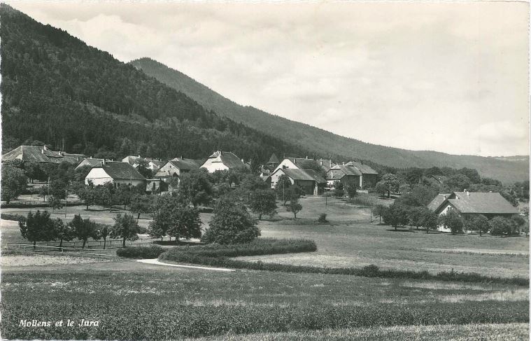 Points De Vue Sur Nos Paysages Parc Jura Vaudois